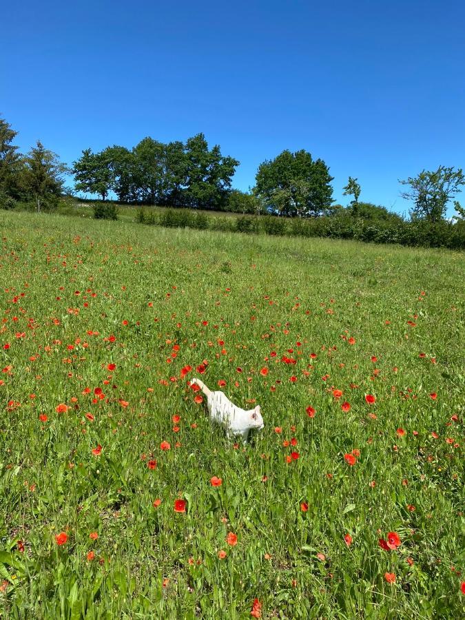 La Vignerie Bed & Breakfast Boisse  Dış mekan fotoğraf
